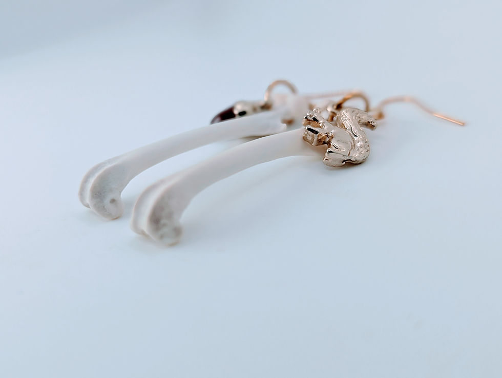 Thumbnail: Squirrel Femur Drop Earrings with Whimsical Charms | Bone Boutique 💀