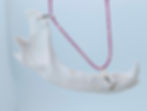 The Road-Ready Raccoon: Mandible & Hot Pink Statement Necklace