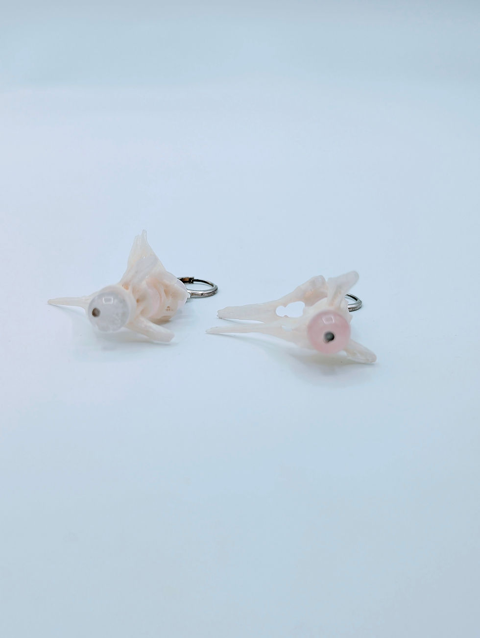Thumbnail: Catfish Vertebrae & Rose Quartz Drop Earrings (.925 Silver Plated)
