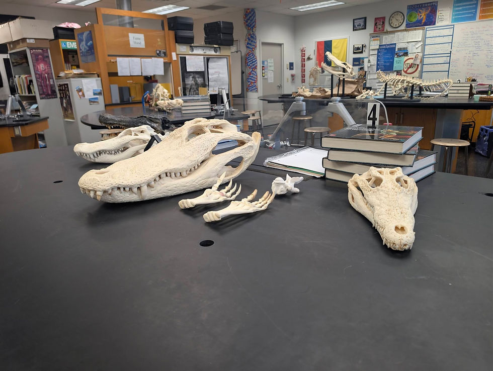 North Port High School