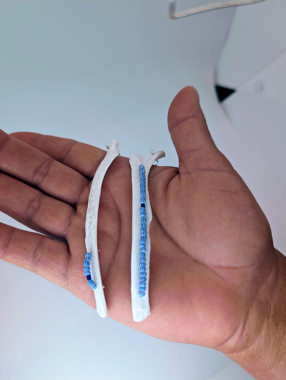 Thumbnail: Asymmetric Alligator Rib "Runway" Earrings  Anatomical Loom Collection