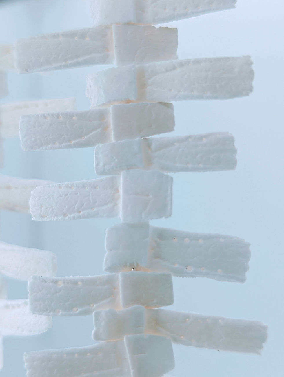 Thumbnail: The ZigZag Scute: Architectural Armadillo Drop Earrings