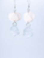 Wild Boar Vertebral End Cap & Faceted Crystal Earrings (.925 Silver Plated) | Bone Boutique