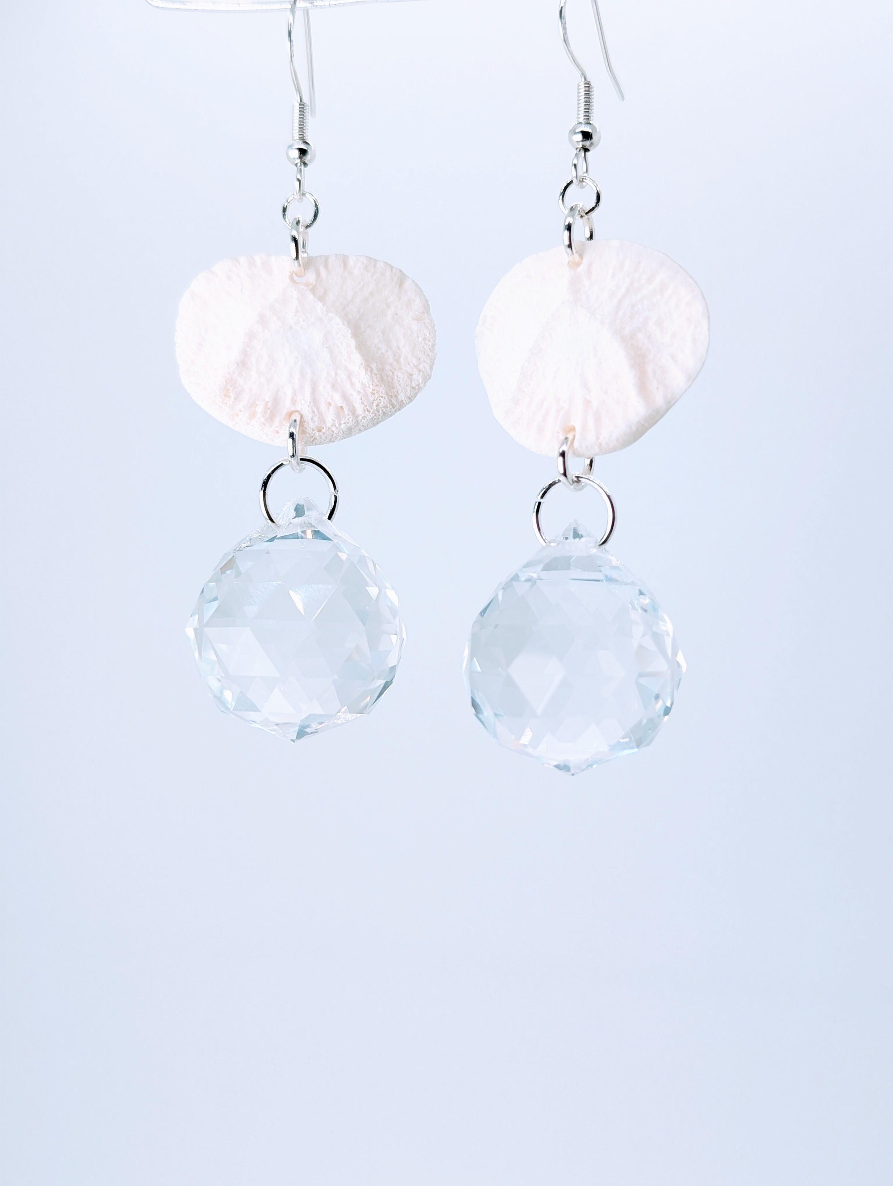 Wild Boar Vertebral End Cap & Faceted Crystal Earrings (.925 Silver Plated) | Bone Boutique