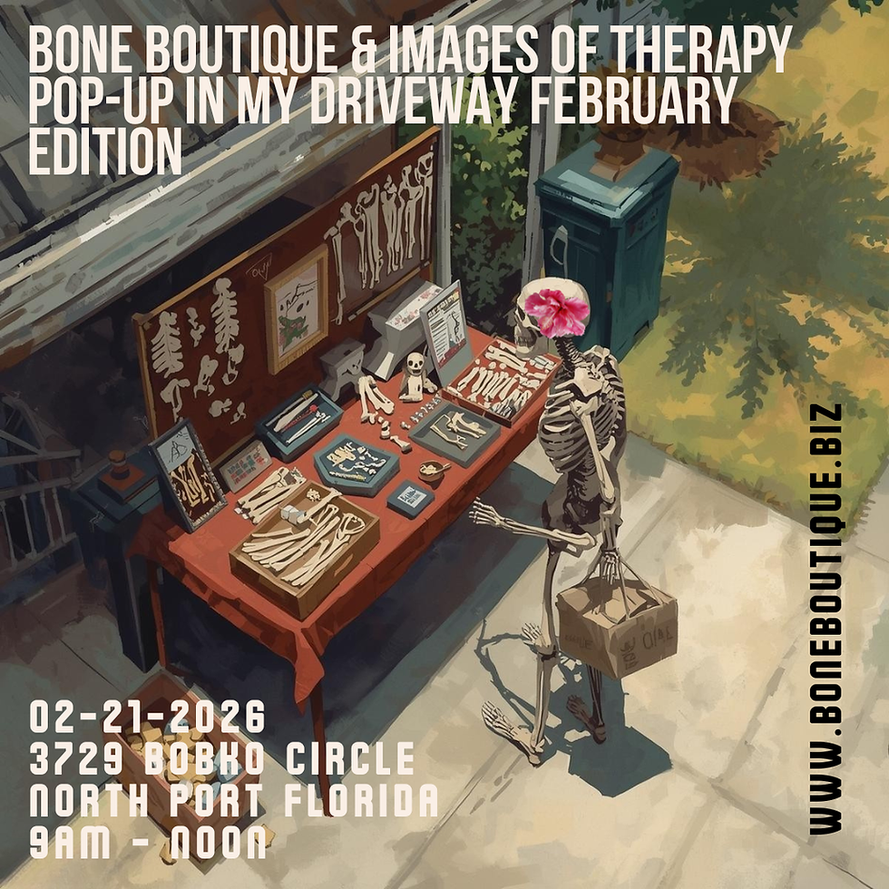 Bone Boutique & Images of Therapy Pop-Up In My Driveway February Edition