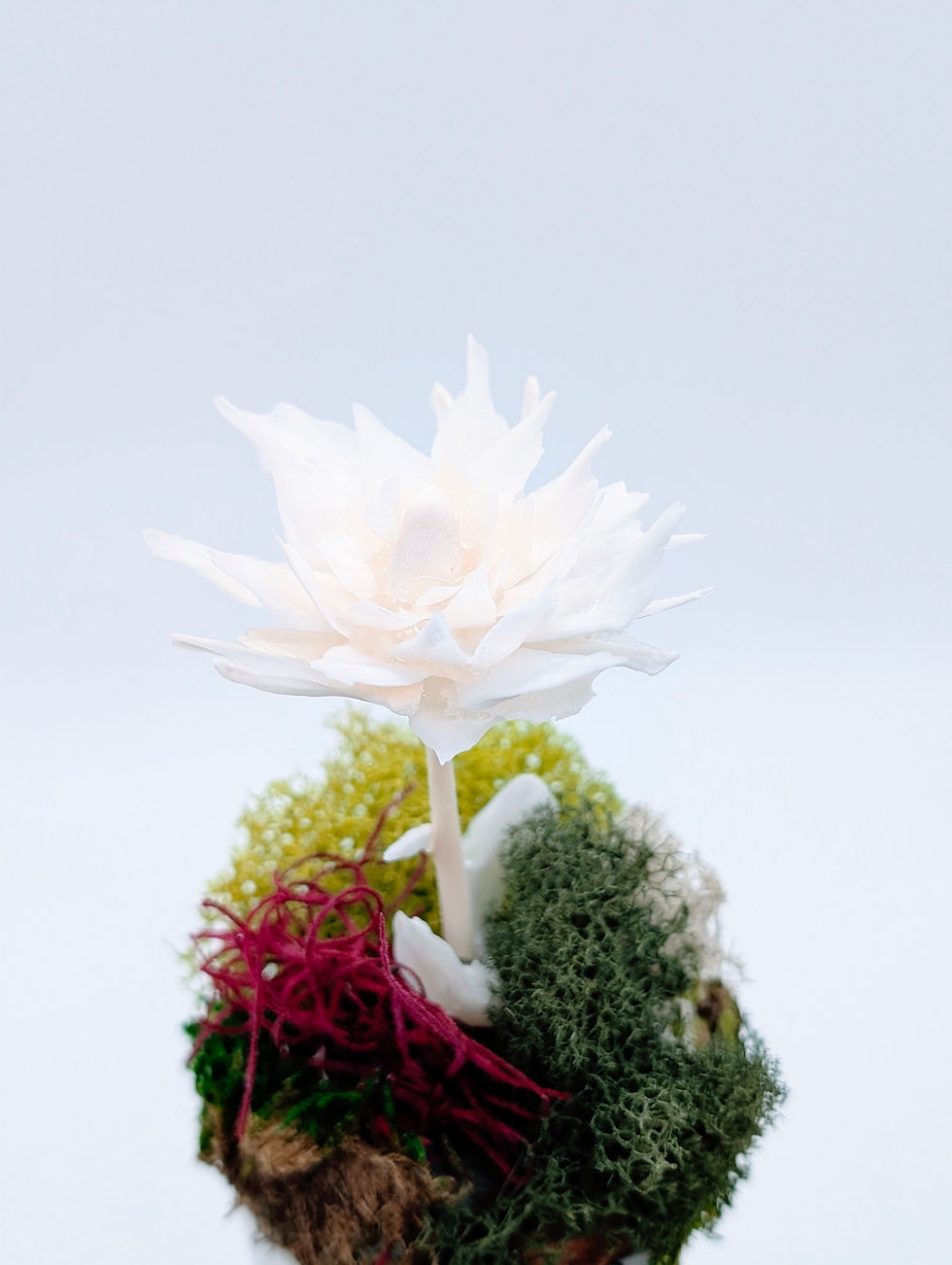 Miniature : Pleco Fish Scale Flower Sculpture | Bone Boutique