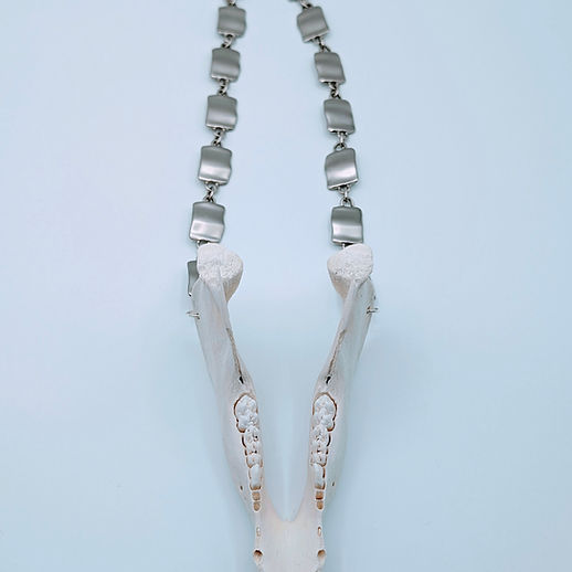 Real Animal Bone Necklaces | Bone Boutique North Port Florida