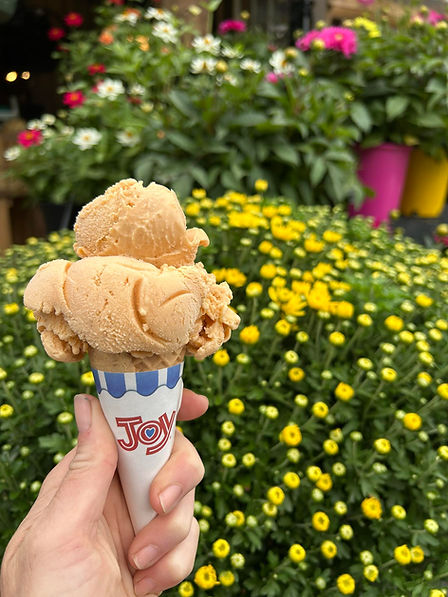 Hand holds 'Joy' ice cream cone with three scoops, flowers