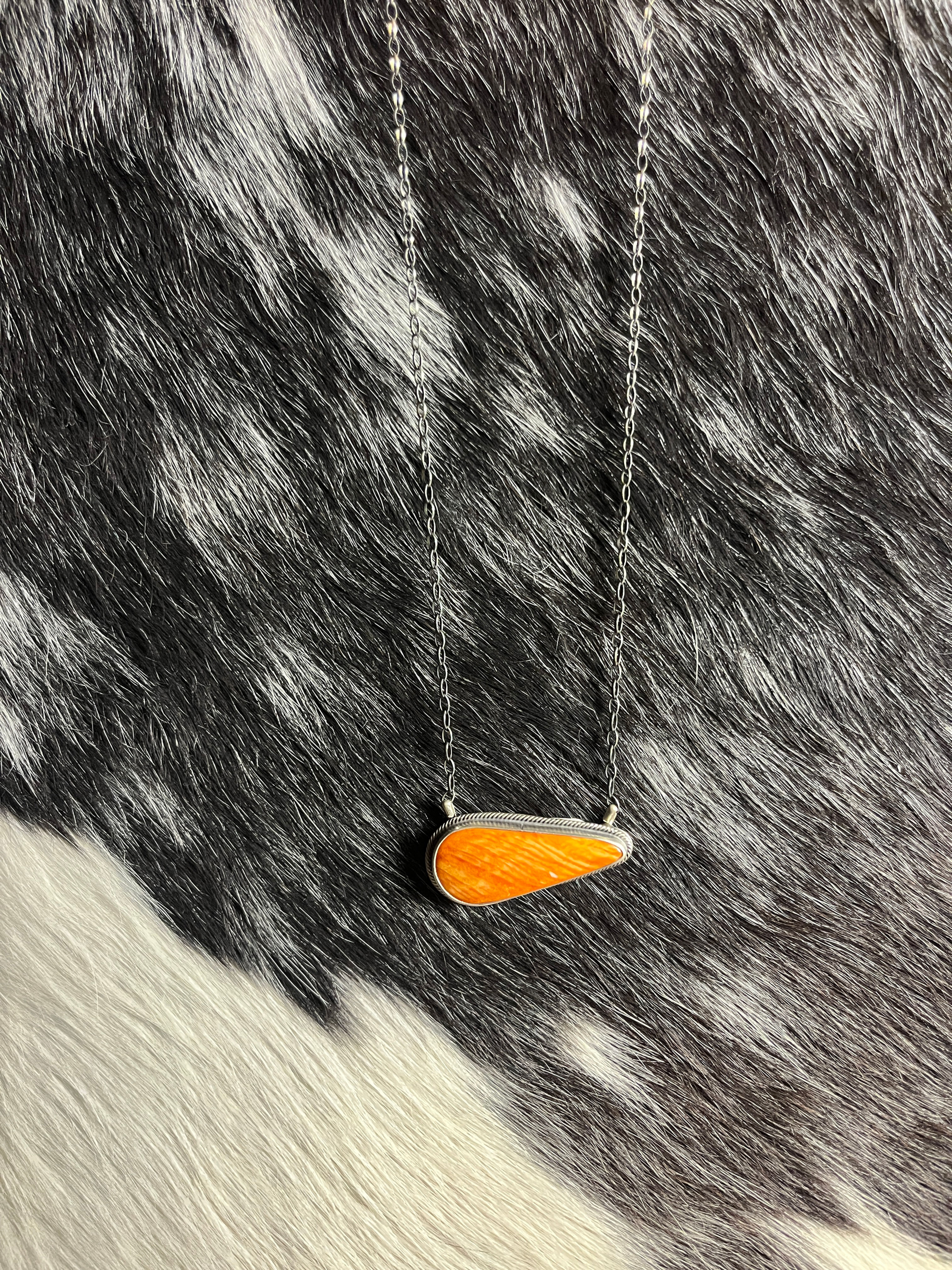 Antionette Mart Spiny Oyster