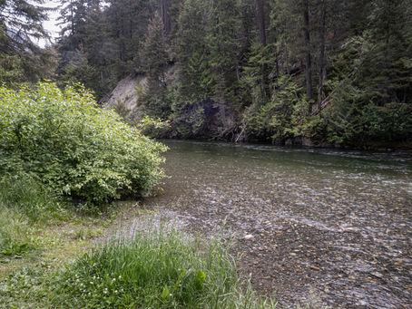 Mountain Trout Camps