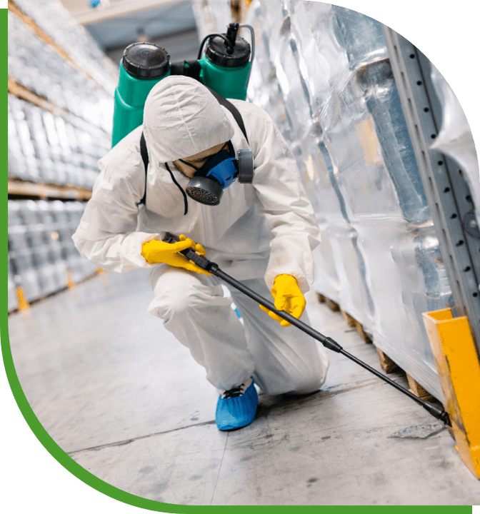 S-Empresas-fumigaciones-fumigaciones-3.p