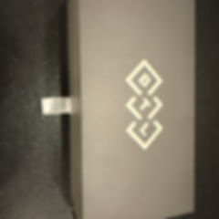 BTL EMFEMME V Tip FULL BOX of 5 tips