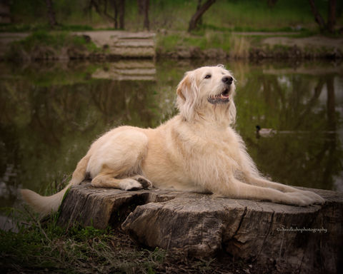 Phydough Fotos Portfolio