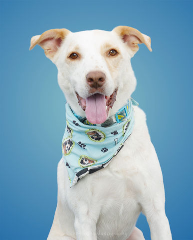 Sandy City Farmers Market - August 30, 2025