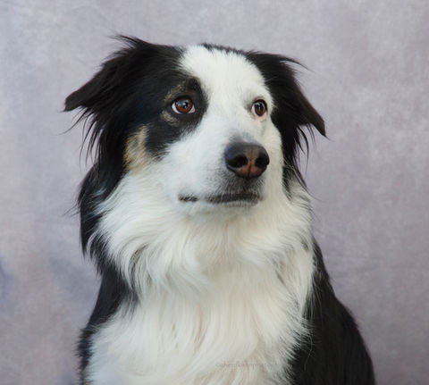 Sandy City Farmers Market October 19, 2024