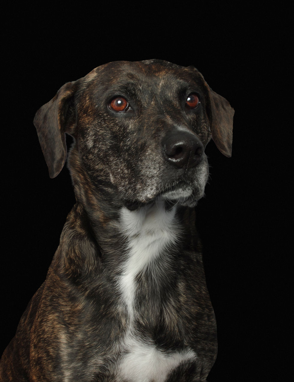 Kona 