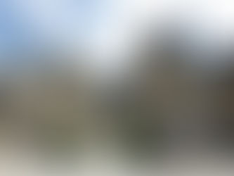 Le château de Fontainebleau : le palais des rois