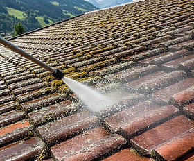 Démoussage, traitement et entretien préventif des toitures