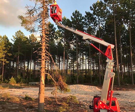 Abattage d'arbres dangereux et démontage technique 🪚 Des interventions millimétrées et sécurisées, même en accès très difficile