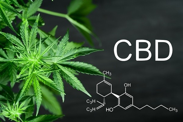 la mode du cbd cannabidiol en france