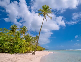 Guadeloupe, Martinique, Réunion