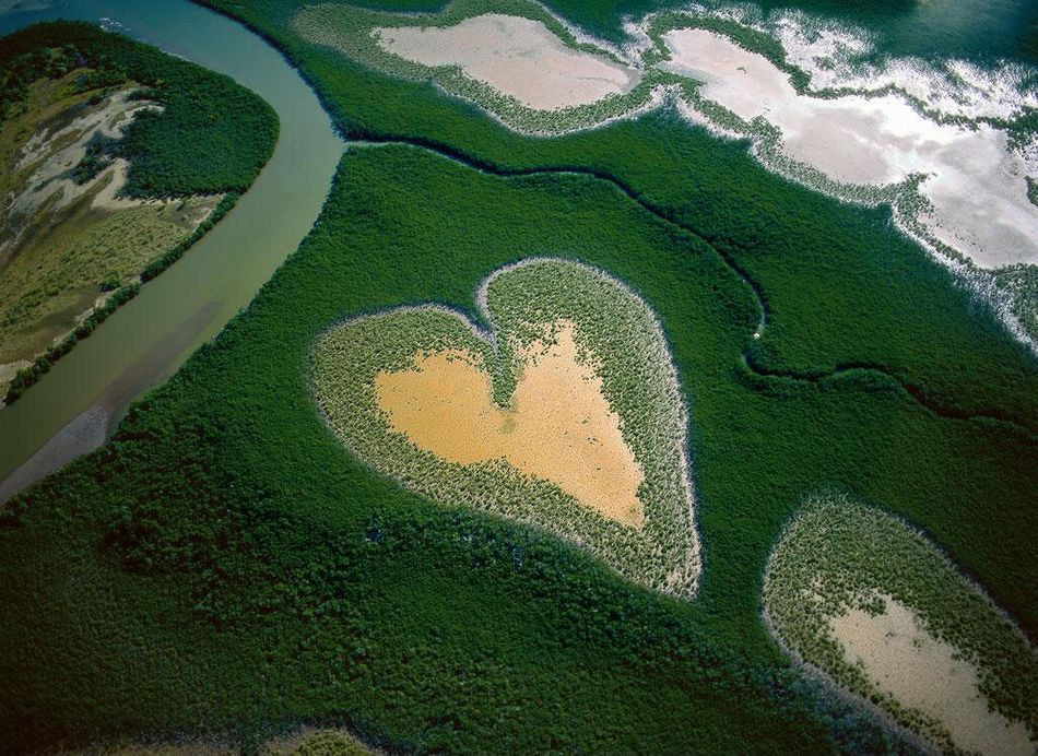 photographe yann arthus bertrand interview biographie