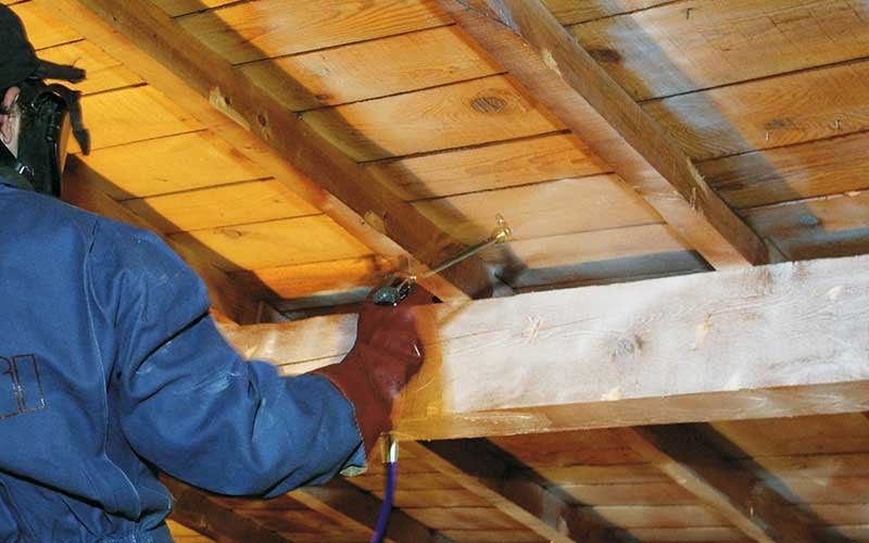 traitement de charpente professionnel 77