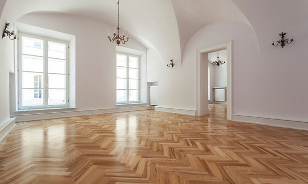 Clean Toiture Protect