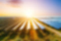 mettre en location son terrain pour installer une centrale solaire