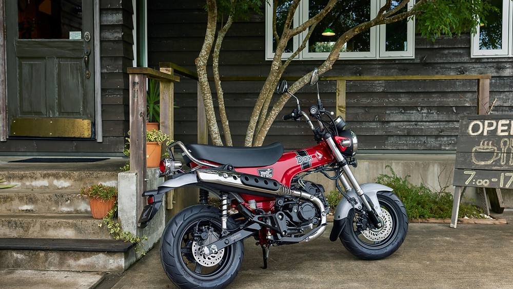 Honda Dax 2022 mini moto