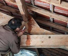 recherche de fuite toiture