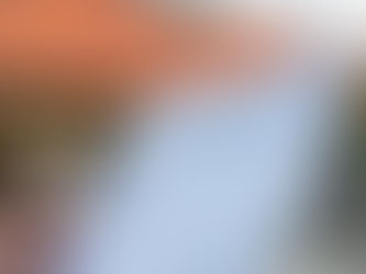 Comment lire un devis de toiture et déjouer les pièges?