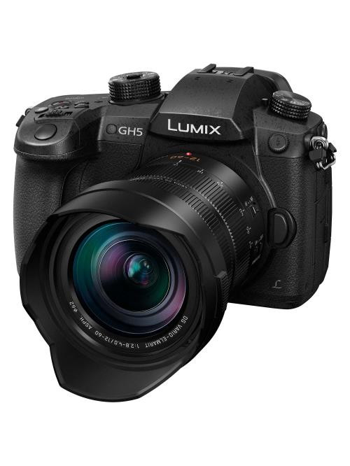 lumix gH5