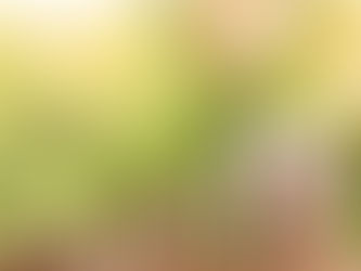 Que faire avant de choisir votre assurance vie ?