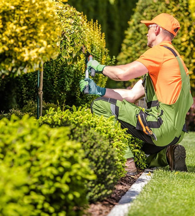 Paysagiste sur Le Mans (72) - Entretien de Jardin - Serruau