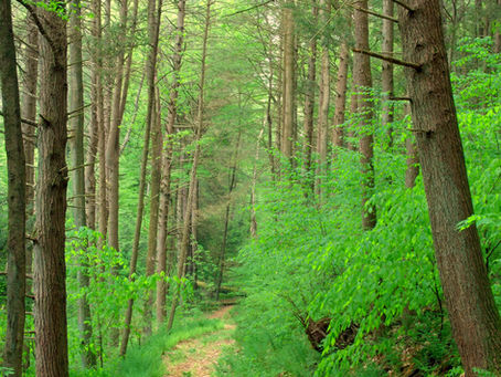 Take The Path Less Traveled...
