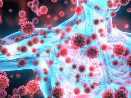 Your Immune System Weakens After Intense Exercise!