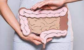 Does Vibration Improve Gut Health?