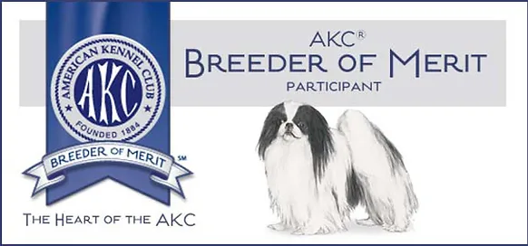akc japanese chin breeders