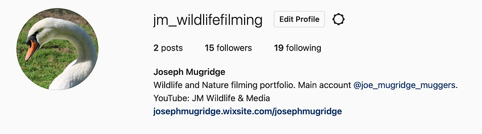 Screenshot 2022-05-10 at 11.45.11.png