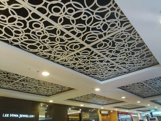 Commercial Ceiling Panel