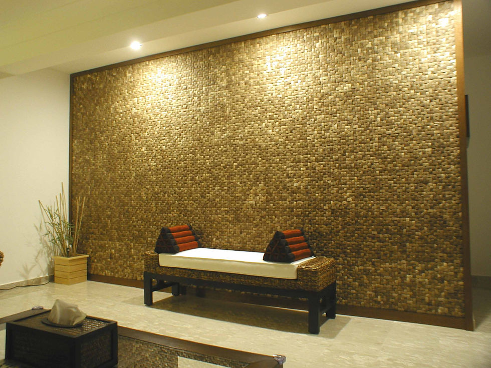 interior wall ideas