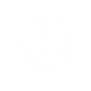 Brain with pathways (1).png