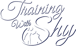 Training with Shy | logo