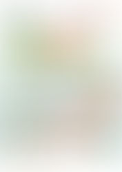 เคล็ดลับหมอบ้าน #05 : เลือกต้นไม้ให้เหมาะกับบ้าน