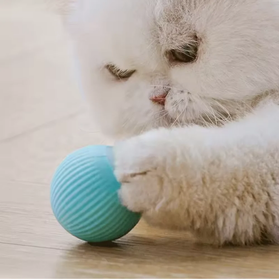 Thumbnail: Electric Cat Ball Toys Automatic Rolling Smart Cat Toys Interactive for Cats Tra
