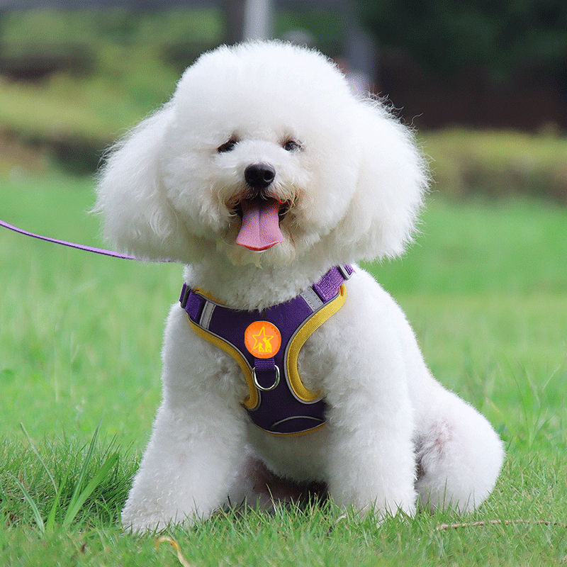 Thumbnail: Small Medium Dogs Harness Vest Walking Traction Rope Reflective Straps, Soft Mes