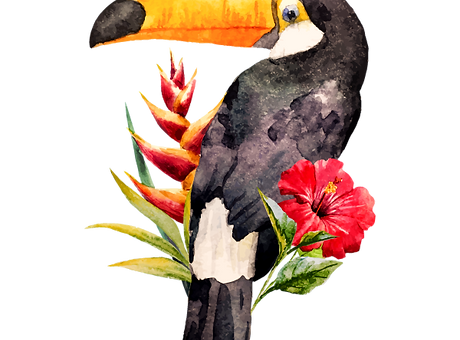 Toucan_edited.png