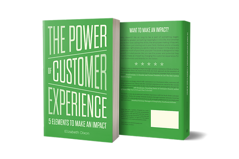 The Power of Customer Experience Book
