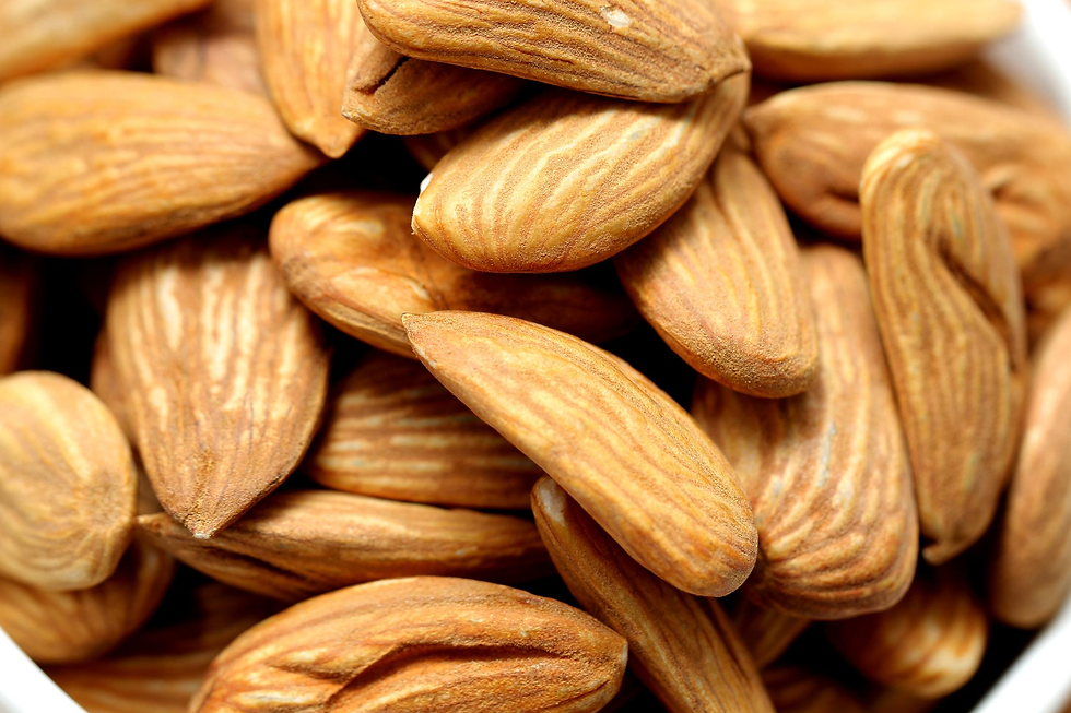 Himalayan Full Oil Almonds: The Complete Guide to Mamra, Kagzi and Sweet King Badam